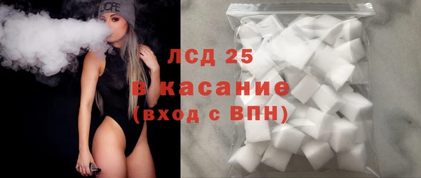 хмурый Белокуриха