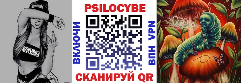 Галлюциногенные грибы Psilocybine cubensis  наркошоп  Шагонар 